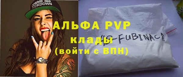 шишки Богородск