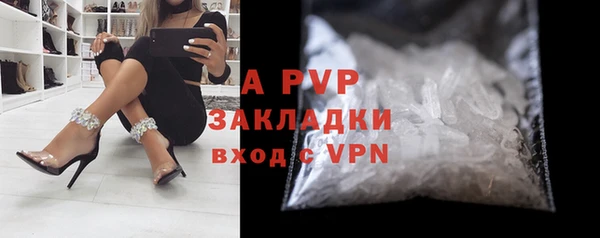 прущие крисы Пересвет