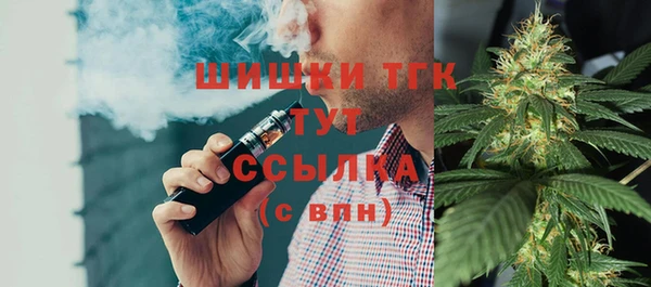 шишки Богородск